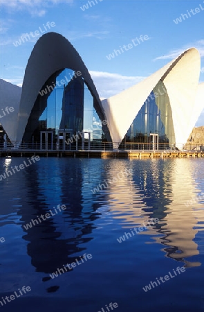 Das L Oceanografic im Modernen Stadtteil von Valenzia in Spanien in Europa.