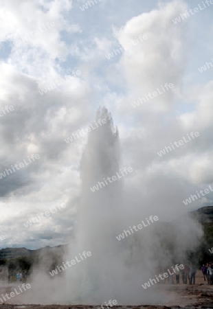 Der S?den Islands, Geysir Strokkur w?hrend eines Ausbruchs, Hakadalur, im "Goldenen Zirkel"