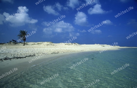 Afrika, Tunesien, Jerba
Ein Strand auf der Insel Jerba im sueden von Tunesien. (URS FLUEELER)






