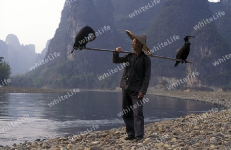 the landscape at the Li River near Yangshou near the city of  Guilin in the Province of Guangxi in china in east asia. 