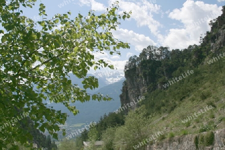 Blick uebers Inntal, Im Vordergrund ein Birkenzweig