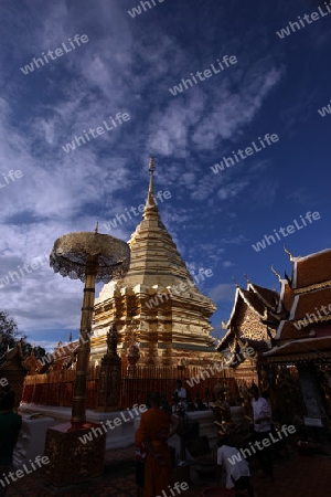 Der Chedi der Tempel Anlage des Wat Phra That Doi Suthep bei Chiang Mai in der Provinz Chiang Mai im Norden von Thailand in Suedostasien.