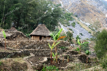 Ein traditionelles Haus beim Bergdorf Maubisse suedlich von Dili in Ost Timor auf der in zwei getrennten Insel Timor in Asien. 