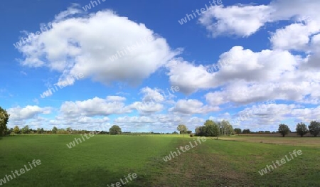 Beautiful high resolution panorama of a northern european country landscape with fields and green grass.