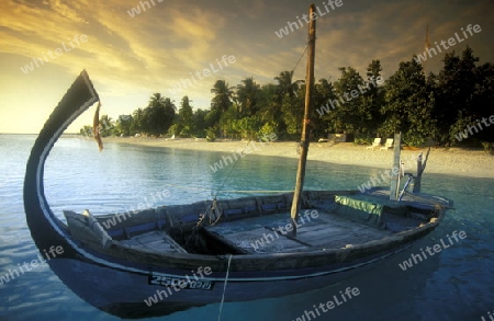 Asien, Indischer Ozean, Malediven,
Ein Traumstrand auf einer Ferieninsel der Inselgruppe Malediven im Indischen Ozean 


