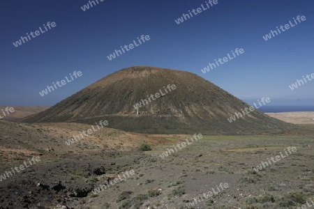 the Landscape on the Island Fuerteventura on the Canary island of Spain in the Atlantic Ocean.