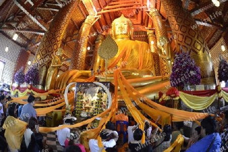 A allday ceremony in the Wat Phanan Choeng Temple in City of Ayutthaya in the north of Bangkok in Thailand, Southeastasia.