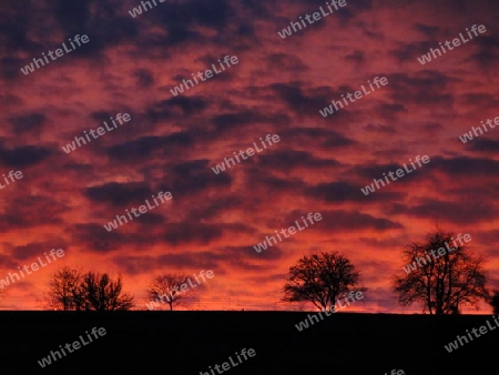 Roter Sonnenaufgang