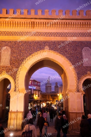 The blue Gate at the Bab Bou Jeloud in the old City in the historical Town of Fes in Morocco in north Africa.