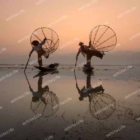 Fishermen at sunrise in the Landscape on the Inle Lake in the Shan State in the east of Myanmar in Southeastasia.