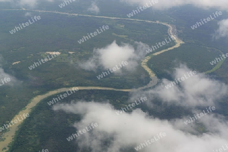 The Landscape with a ricefield near the City of Siem Riep in the west of Cambodia.