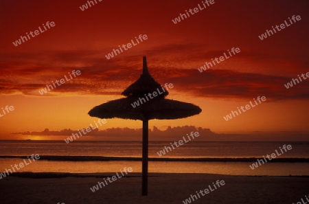 Ein Sandstrand an der Westkueste von Mauritius im Indischen Ozean. 