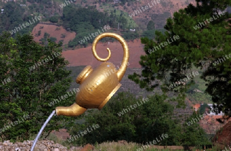 Die Landschaft mit Tee Plantagen beim Bergdorf Mae Salong in der Huegellandschaft noerdlich von Chiang Rai in der Provinz Chiang Rai im Norden von Thailand in Suedostasien.