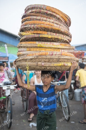 a fegetable market in a Market near the City of Yangon in Myanmar in Southeastasia.