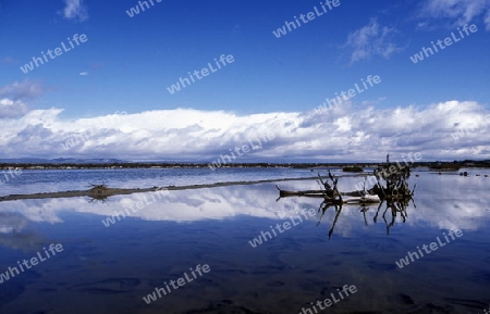 Die Salzmine oder Saline der Salines des Salobrar im Sueden der Insel Mallorca einer der Balearen Inseln im Mittelmeer.     