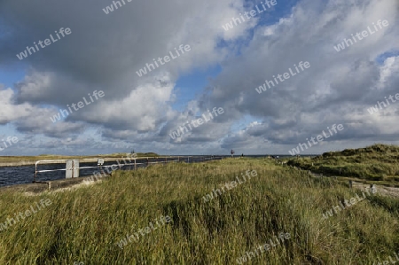 Strand in Prerow, Darss, Ostsee