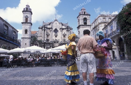 the Plaza de la Catedral in the old town of the city Havana on Cuba in the caribbean sea.