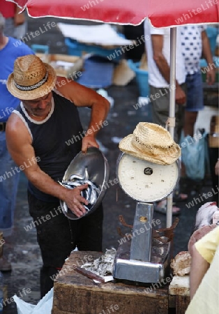 The Fishmarket in the old Town of Catania in Sicily in south Italy in Europe.