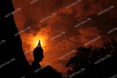 Eine Buddha Figur  im Wat Mahathat Tempel in der Tempelanlage von Alt-Sukhothai in der Provinz Sukhothai im Norden von Thailand in Suedostasien.