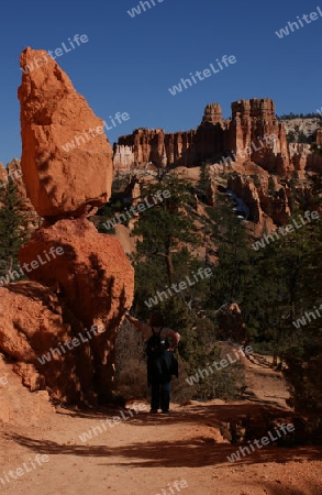 Bryce Canyon USA