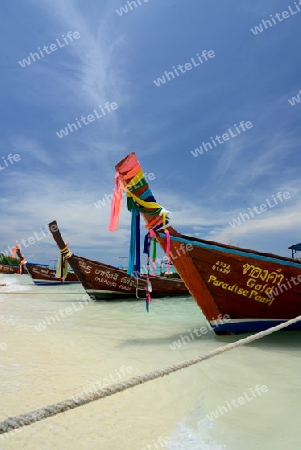 A Beach on the Island of Ko PhiPhi on Ko Phi Phi Island outside of the City of Krabi on the Andaman Sea in the south of Thailand. 