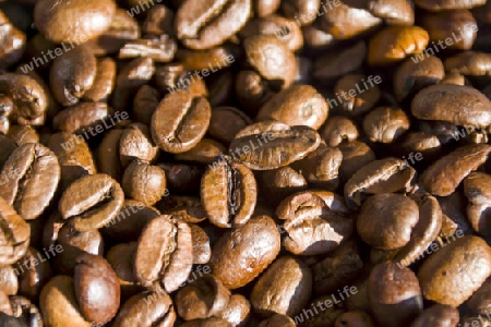 Freshly roasted coffee beans