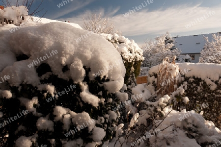 Winter in der Stadt