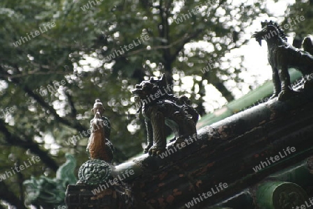 Dachgeister auf einem Dach im Shaolin Tempel, China