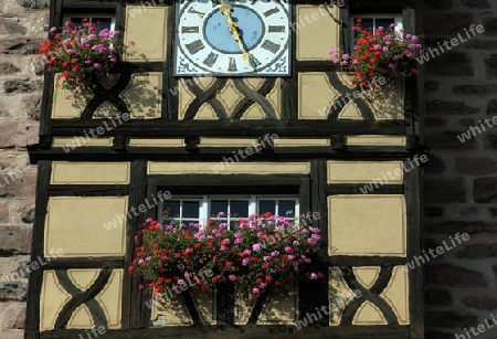 the olt town of the village of Riquewihr in the province of Alsace in France in Europe