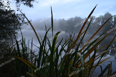 lake im morgengrauen