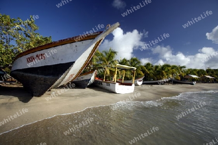 Suedamerika, Karibik, Venezuela, Isla Margarita, Pedro Gonzalez, Playa Pedro Gonzalez, Beach, Strand, Bucht, Fischerdorf, Fischerboot, Holzboot, Palmen, Ferien, Traumstrand, Idylle, Landschaft