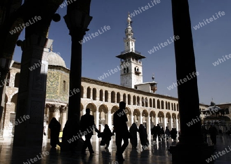 Asien, Naher Osten, Syrien, Damaskus,   Der Innenhof der  Omaijad Moschee im Souq und Altstadt von Damaskus in der Hauptstadt von Syrien. 