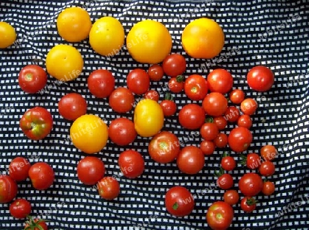 Tomaten auf Tuch