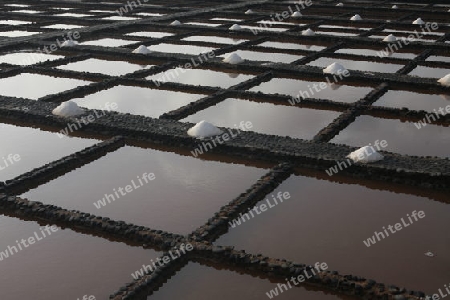 the Salinas of Las Salinas on the Island Fuerteventura on the Canary island of Spain in the Atlantic Ocean.