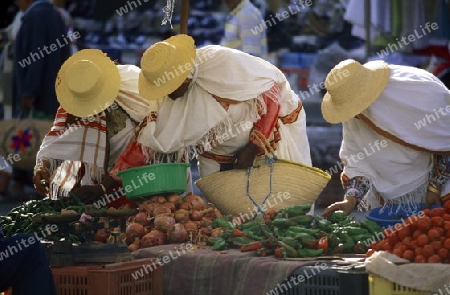 Afrika, Tunesien Jerba
Ein Markt im Dorf Midoum auf der Insel Jerba im sueden von Tunesien. (URS FLUEELER)






