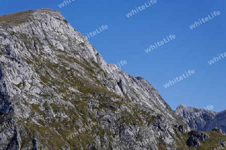 Am Hohem Brett im Nationalpark Berchtesgaden, Germany 