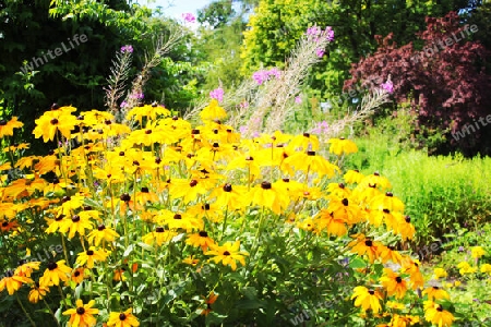 Botanischer Garten