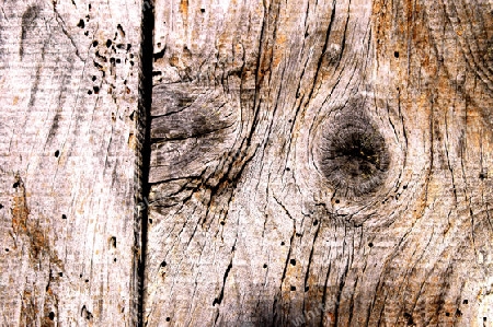  wood texture