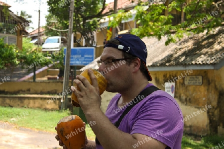 King Coconut - Erfrischungsgetr?nk in Sri Lanka