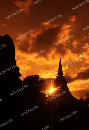 Der Wat Chang Lom im Si Satchanalai-Chaliang Historical Park rund 50 Km von Sukhothai in der Provinz Sukhothai im Norden von Thailand in Suedostasien.