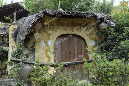 Ein kleines Chinesisches Restaurant in Mae Aw im Grenzgebiet zu Burma beim Dorf Mae Hong Son im norden von Thailand in Suedostasien.