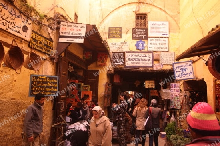 a shop in the Marketroad in the Medina of old City in the historical Town of Fes in Morocco in north Africa.