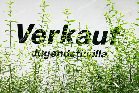 Verkauf - Jugendstilvilla