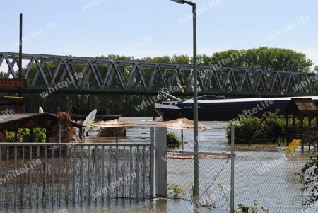 Hochwasser Rhein-Neckar