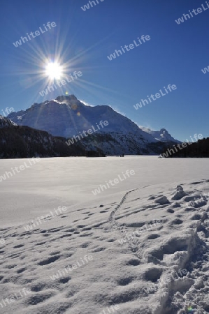 Silsersee