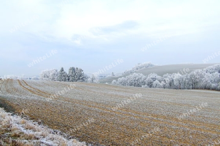 Feld im Raureif