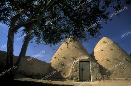 Die traditionellen Lehmhaeuser in den Bauerndoerfer wie Sarouj bei Hama in Zentralsyrien in Syrien im Mittleren Osten in Arabien.