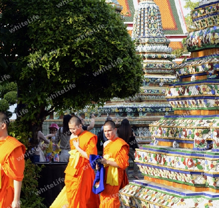 Die Tempelanlage des Wat Pho in der Hauptstadt Bangkok von Thailand in Suedostasien.