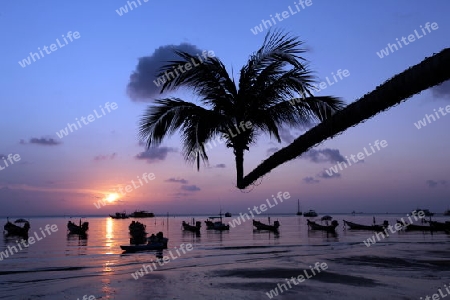 Der Strand  von Hat Sai Ri auf der Insel Ko Tao im Golf von Thailand im Suedwesten von Thailand in Suedostasien. 