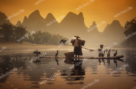 the landscape at the Li River near Yangshou near the city of  Guilin in the Province of Guangxi in china in east asia. 